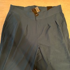 Torrid pants